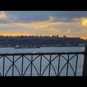 Meet your Posher, Molly